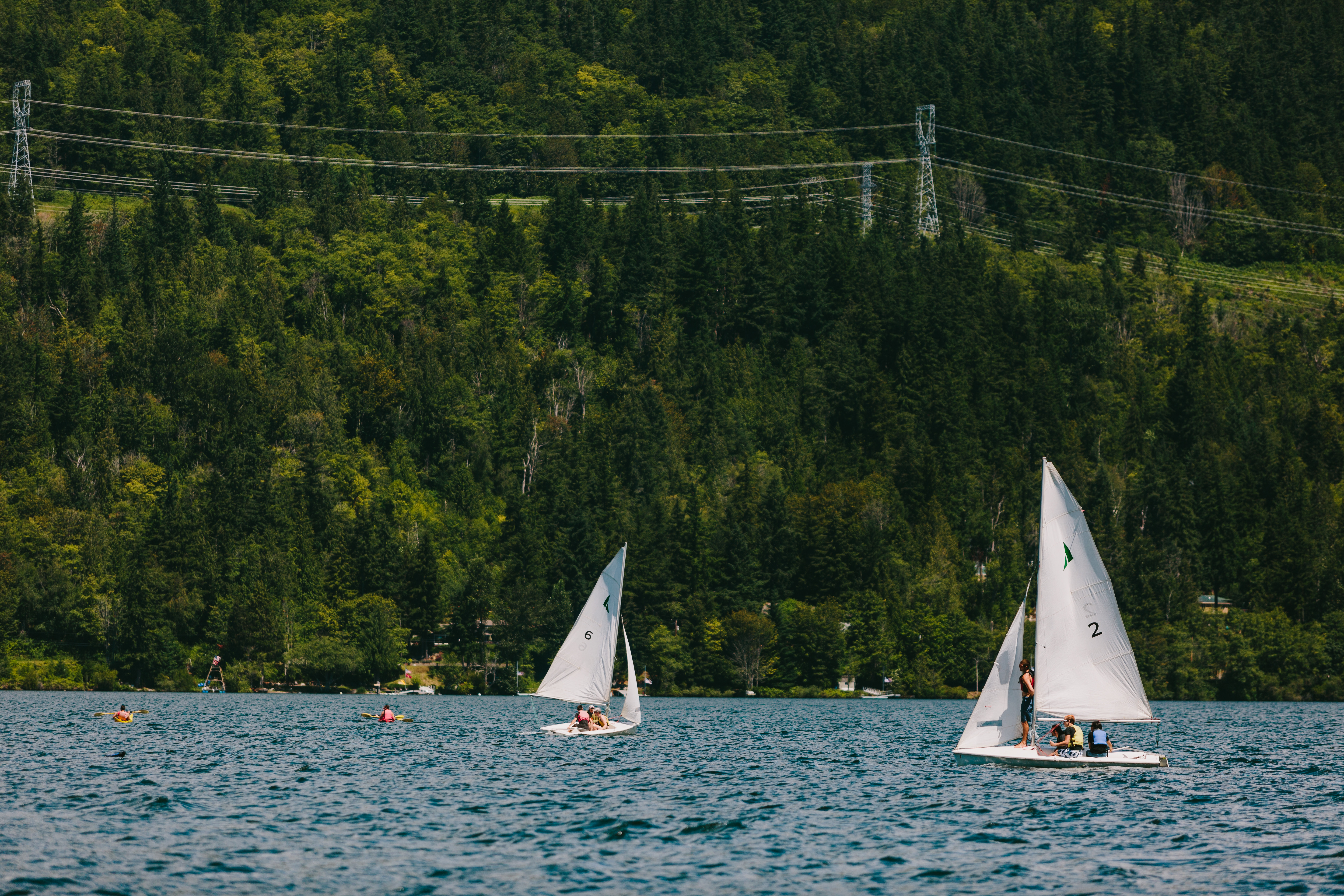 Two sailboats with white sails are in the middle of Lake Whatcom. There is a big hill with trees and greenery in the distance behind the boats. There are some very small waves on the water.