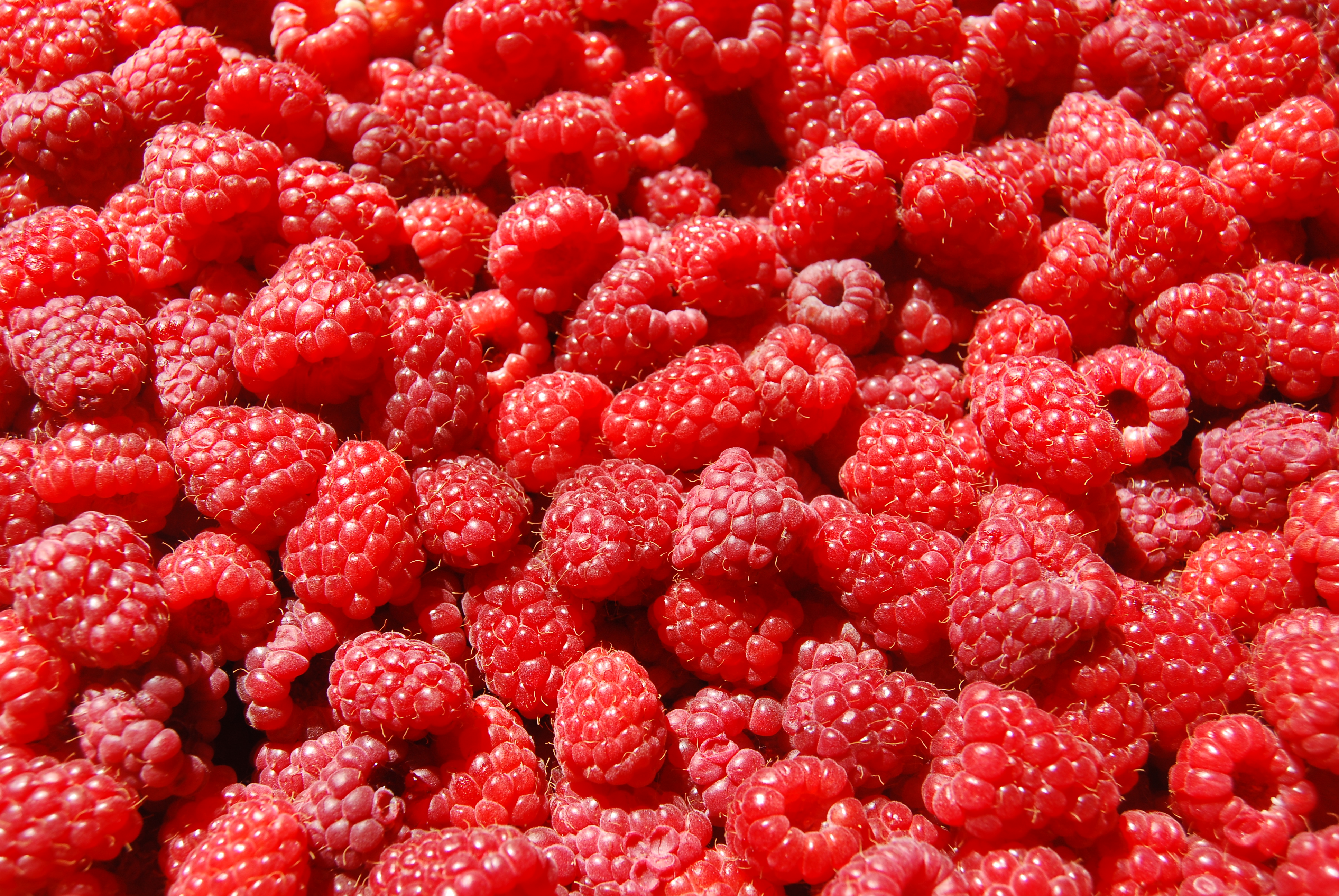 Many, many raspberries.