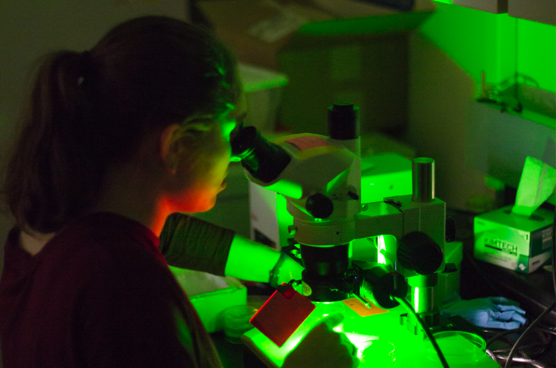 A student researcher looks into a microscope in a dark room lit by a green glow. There are scientific instruments all around the student.