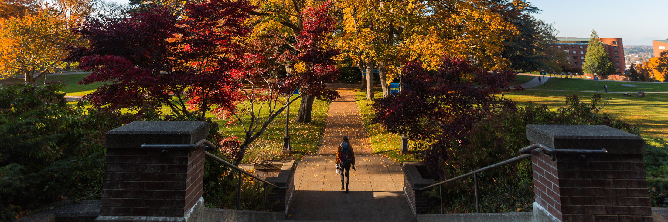 Fall on campus. Trees leaves are turning red and yellow. A student walks down the brick paths near Old Main.