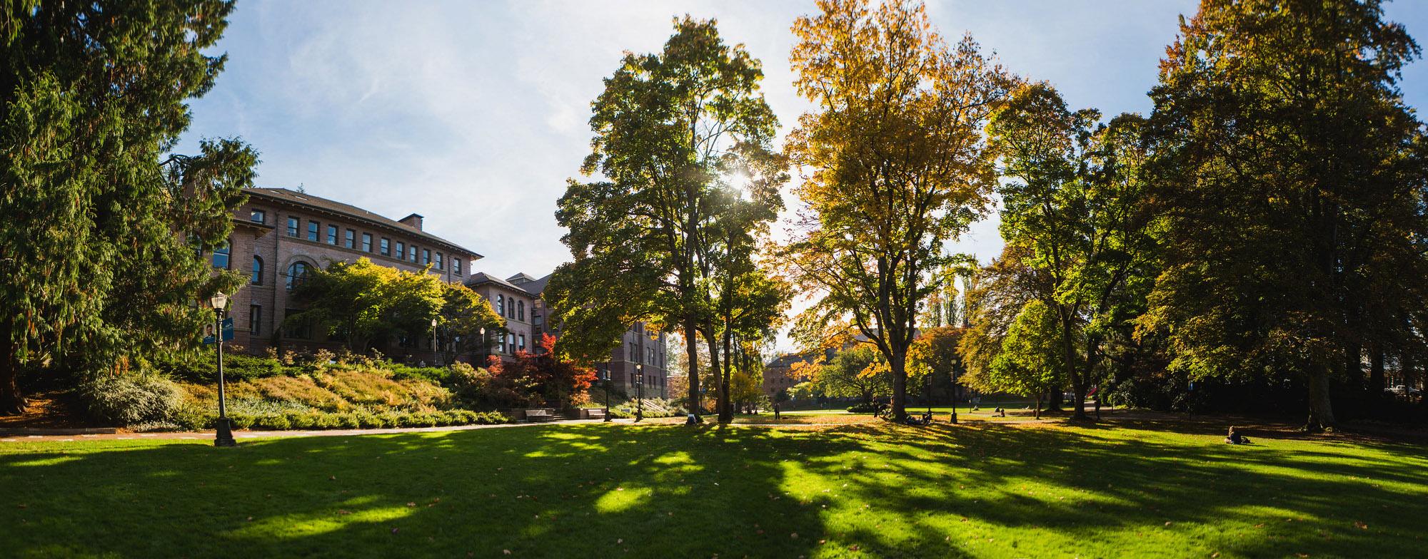 Old Main lawn in the summer time. The sun shines through tall trees and casts big shadows on the bright green lawn. A red Japanese maple by the staircase stands out with its rusty foliage.