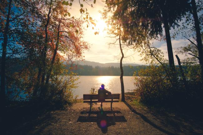One person is sitting on a bench watching the sun set over a lake. The person is facing away from the camera, and they are framed by trees and other greenery all around them. 