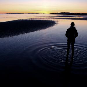 A person standing in Bellingham Bay at sunset