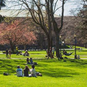 Students relaxing in the sun on Old Main's lawn. Cherry blossoms bloom in the background..