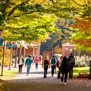 Students entering campus. The ground is laid bricks, there are many trees in various fall colors.