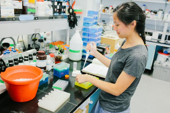 A student conducts research in a lab