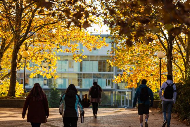 Students exploring campus in the fall