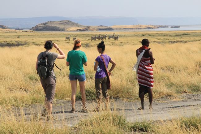 Three Western students standing in a expanse African plain with a local guide. Their backs are facing us as they gaze upon a group of Zebras in the distance.