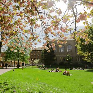 Students lay on the green lawn in front of Old Main under the cherry blossoms.